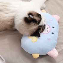 반려동물 일체형 베개 소형 꿀잠 목베게, 파란 돼지