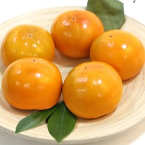 아삭아삭 가을 제철과일 창원단감 3kg M사이즈