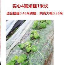 미니 비닐 하우스 자재 만들기 온실 조립식 소형 가정용125869 가정 온실 작은 꽃 비계 따뜻한 사육 방한 유리 섬유 강화 플라스틱 유리 섬유 막대 절연 창고 아치 기둥 아치 창, 두께 8mm 길이 3m 뿌리 20개