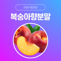 [한솔식품원료] 복숭아향분말 (Peach flavor powder) (분말 Type) [50g/100g/1kg/5kg/10kg], 1kg, 1개