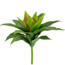 다육이화분 2 개몫 큰 인공 식물 플라스틱 알로에 Agave 나무 터치 리프 공기 홈 데스크 벽 정원 장식, [03] C