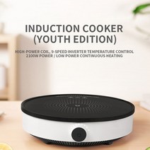 1구인덕션 2구인덕션 3구 업소용 영업용 휴대용 인덕션 유도 밥솥 가정용 냄비 수프 하나의 미니 터치 음소, 01 CN, 02 Youth edition