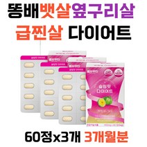 똥배 뱃살 옆구리살 팔뚝살 급찐살 체중조절 다리라인 다이어트 가르시니아캄보지아추출물 셀레늄 판토텐산 비타민B1 B2 B6 곡물효소 레몬밤 식약처인증 여자 남자 여성 남성