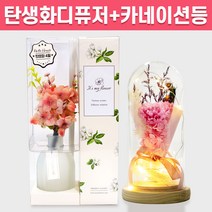 탄생화 디퓨저 선물 세트 4월 탄생화 벚꽃 + 카네이션 무드등 어버이날 부모님 선생님 엄마 장모님 생일 집들이 프리저브드 플라워 결혼 선물 실내 방향제 디퓨져, 레몬그라스, 핑크, 300ml