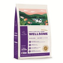 웰썸 고양이사료 1.2kg 동애등에 인섹트 사료