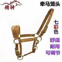 말굴레 말굴레고삐 굴레고삐 승마굴레 마방굴레말고삐 색상 리드 훈련 크기 포니 드래곤 헤드 바이터 고급, 06 L