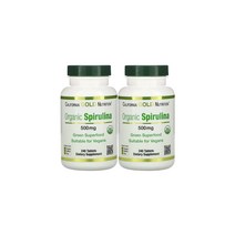 캘리포니아 골드 뉴트리션 오가닉 스피루리나 500mg 240정 x 2개