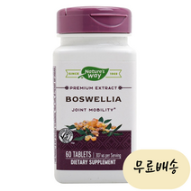 네이처스웨이 보스웰리아 307mg 60정, 1개