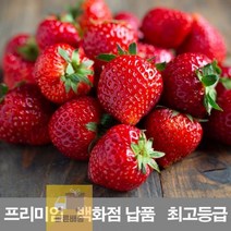 BD 프리미엄_2kg_금실_납품_킹스베리_설향_라떼_국내산_만년설_농장_청_제철_딸기_백화점_냉동 CB40, 상세페이지 참조