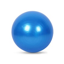 홈트공 65cm 발란스운동기구 필라테스볼 밸런스 소형짐볼, 블루