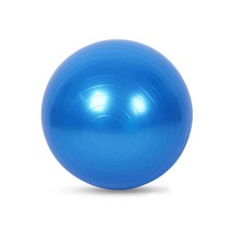 하프짐볼 스트레칭의자 하프짐볼운동 균형잡는기구 퍼플 블루 bosuball