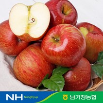 아삭달콤한 거창 꿀사과 가정용 5kg[중과]17-23과 내외, 없음