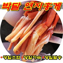 국산 포항 구룡포 홍게 박달 연지 홍게 당일조업 당일자숙 당일발송, 붉은대게 대(5미)