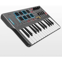 Donner MIDI 키보드 컨트롤러 25키 반응형 DMK25 휴대용 8개 백라이트 패드, 기본