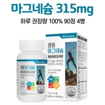 마그네슘 영양제 비타민b 1일 영양성분 기준치 100% 충족 마그네숨 알약케이스 증정, 90정, 4개