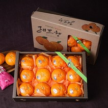 황금원 제주 서귀포 레드향 선물세트 4.7kg (실중량/24과내외), 1