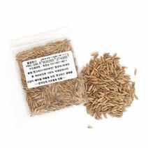 펫모닝 귀리씨앗 12g(PMC-236), 1개