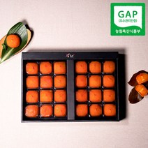 감좋은날 청도 반건시 곶감 선물세트(+선물가방포함), 2박스, 960g(24과/소과)