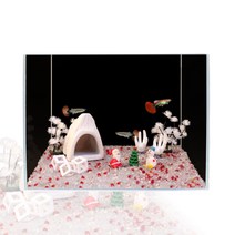 고운물 어항세트 미니 어항 꾸미기 세트 C형(~30cm)