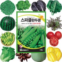 콩씨앗 땅콩씨 메주콩씨앗 강낭콩종자 호랑이콩씨앗 작두콩종자 서리태, 414 완두콩 40g
