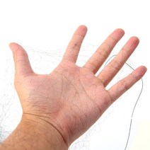 메쉬휀스 울타리 메쉬휀스가격표 대문 기둥 철망 과일 작물 식물 나무 정원을 위한, 8x3m