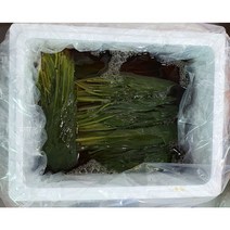 명이나물 10KG 햇명이입고, 1개