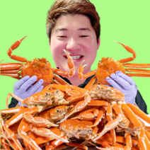 품질보증100% 살이 꽉찬 국산 대게 (명품/박달) 3차 선별, [정품/명품]국산대게(대) 10~11cm 3마리