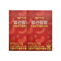 씨스팡 혈관팔팔 30정 2박스 칸탈로프멜론추출 SOD, 씨스팡 혈관팔팔 30정 2박스 칸