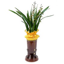 산천보세14 ej1 동양란 승진화분 축하 취임 영전 선물