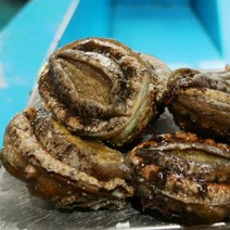 남해 공식 해녀가 직접 잡은 자연산 전복, 소 / 1kg / 9-10마리