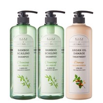 [댕기머리]허벌 스케일링 샴푸 1000ml 2개+허벌 아르간 트리트먼트 1000ml, 없음