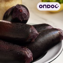 [온도씨]국내산 싱싱한 여주 금보라 생 가지 10개입내외 1.5kg(특), 단품