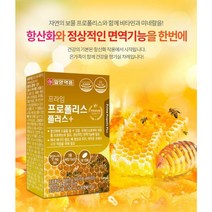 [일양약품] 프라임 프로폴리스 플러스 30캡슐 / 7종 복합기능성, 60캡슐(2개월) x 1개, 1000개