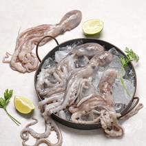 보성농수산 벌교 갯뻘 산낙지 대 중 소 싱싱한 더 맛있는 낙지 살아서 도착, 냉동낙지 특대 3마리, 1개, 1개