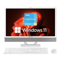 삼성전자 일체형PC DM530ADA-L25A 24인치 데스크탑 올인원PC, DM530ADA-L25AH_기본