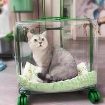 고양이 캐리어 가방 애견 이동장 가방 강아지 켄넬, 대형 보야나 그린50x28x45cm