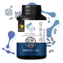모유유래 유산균분말 170g 신 프로바이오틱스 프리바이오틱스 프락토올리고당 락토바실러스 가세리 루테리 퍼멘텀 플란타럼 아스파라거스 우엉 마늘 벌꿀 치커리뿌리 천연물질 유산균, 1통