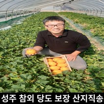 성주 참외 산지직송 가정용 대과 중과 중소과 2kg 3kg 5kg 10kg, 가정용대과