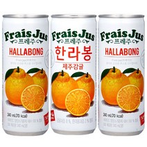 일화 프레주 한라봉제주감귤 240ml x 30캔