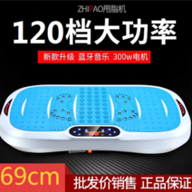 음파진동기 전신 홈트 음파 운동기구 뱃살 쉐이크 덜덜이 다이어트 기구, [69cm/블루투스뮤직] 포니라이트블루