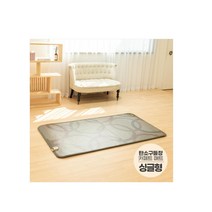일월 사계절 구 들장 프리미엄 탄소 전기 카페트 매트 싱글 15T 100x183cm