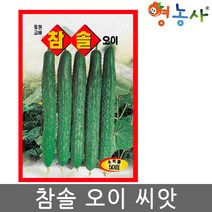 영농사 참솔오이씨앗 50립 가시오이 여름 청오이 종자, 참솔오이, 1개