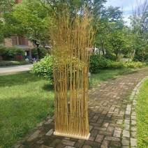 천연대나무 베란다 발코니 파티션 가벽 가림막 신우대, 가지x노란색 약1.5m 뿌리60x밑변 50cm
