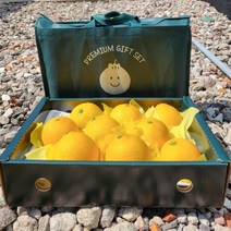 제주직송 황금향 한라봉 천혜향 제주감귤 귤 황금향2kg 3kg 5kg, 2kg(5~12과), 1개