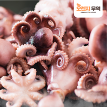 쭈꾸미 (수입 냉동 탱글탱글 더(The) 쭈꾸미) 2.4kg (200g x 12팩) 짬뽕 볶음 다용도, 6미(200gx12팩 총중량2.4kg)