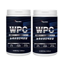 에너데이 농축유청단백질 WPC 전용스푼500gx2통 영양밸런스 대두레시틴 아미노산 BCAA 간편한섭취 건강관리에도움