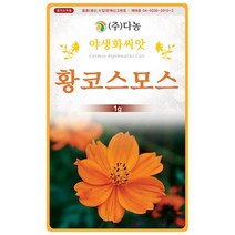다농 황코스모스 씨앗 1g 야생화 씨앗