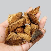 허스크칩 10L 코코칩 코코넛바크 마이플랜트, 허스크칩10L