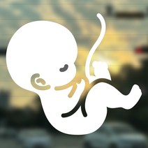 [잘보이는 심플한 임산부 태아스티커] 초보운전 전운보초 아이가 타고있어요 주행연습 반사, 태아
