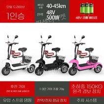 접이식 세발 전기자전거 소형 삼륜 성인용 전동 자전거 배달 스쿠터 휴대용 48V 배터리, E